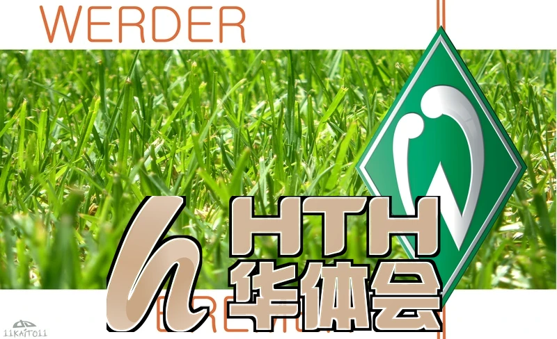 hth手机版官方网站 用户反馈