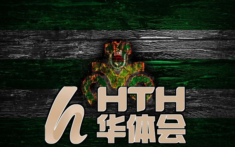 华体育官方网站的用户界面