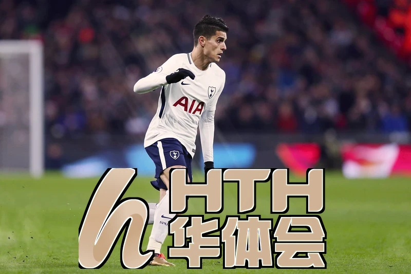 hth·手机华体育登录官网版相关图片