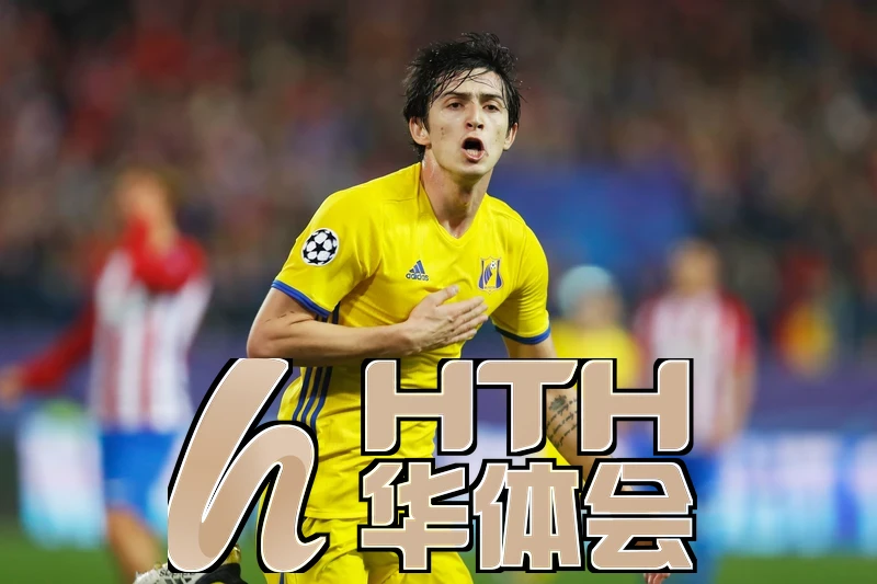 hth体育最新官网入口截图
