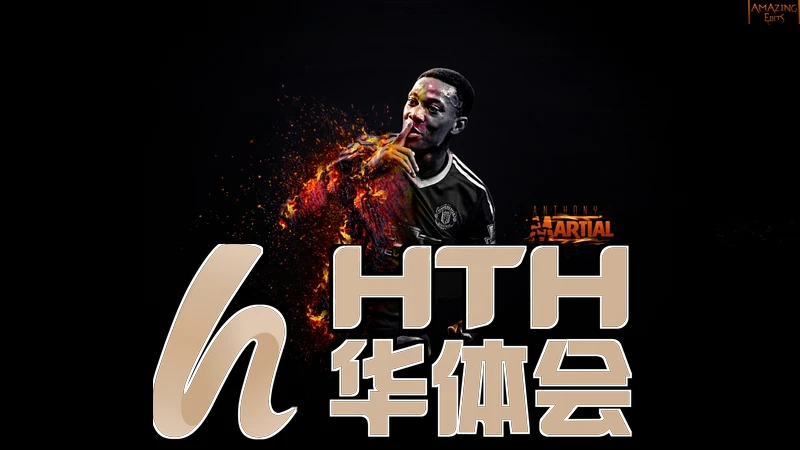 hth.华体体育官下载掌机整体外观
