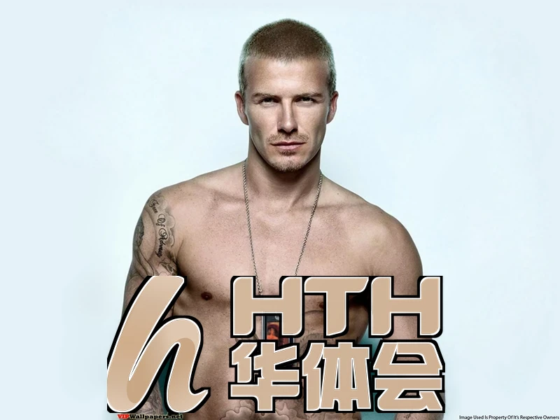 hth华体体育最新版本更新内容场景应用图片