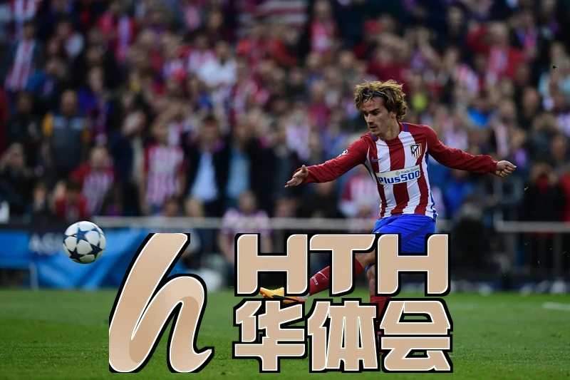 hth体育官网app标准版