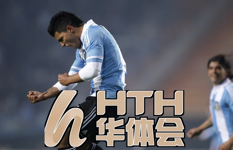hth官网app登录入口下载安装流程参考图