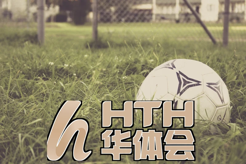 hth官方App下载游戏界面展示与玩法操作示意
