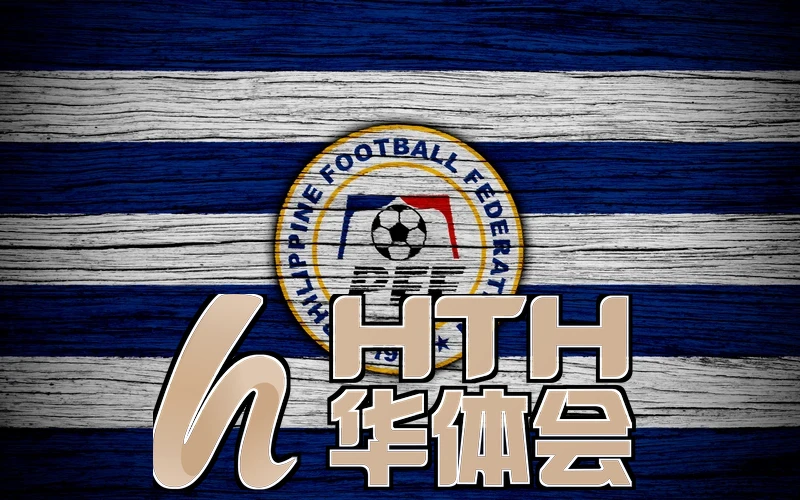 华体集团总结图片