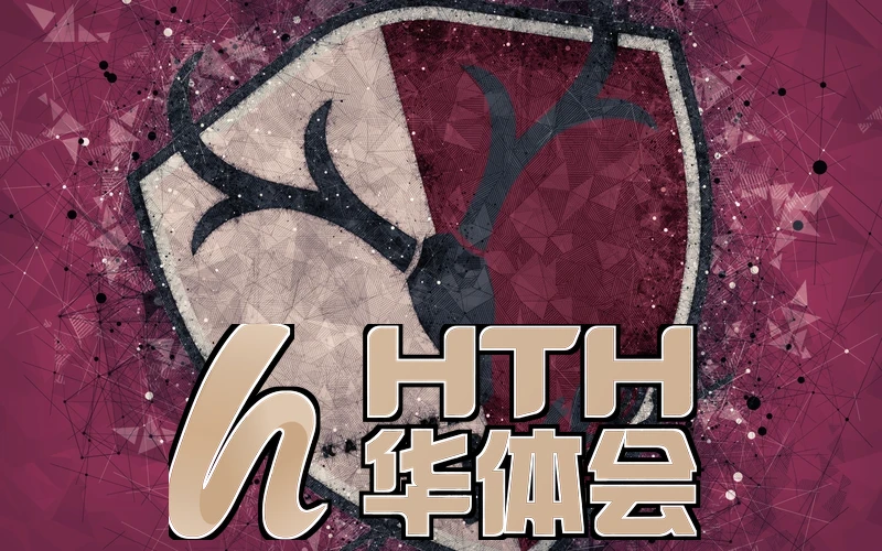 华体会入口访问链路与响应表现示意图