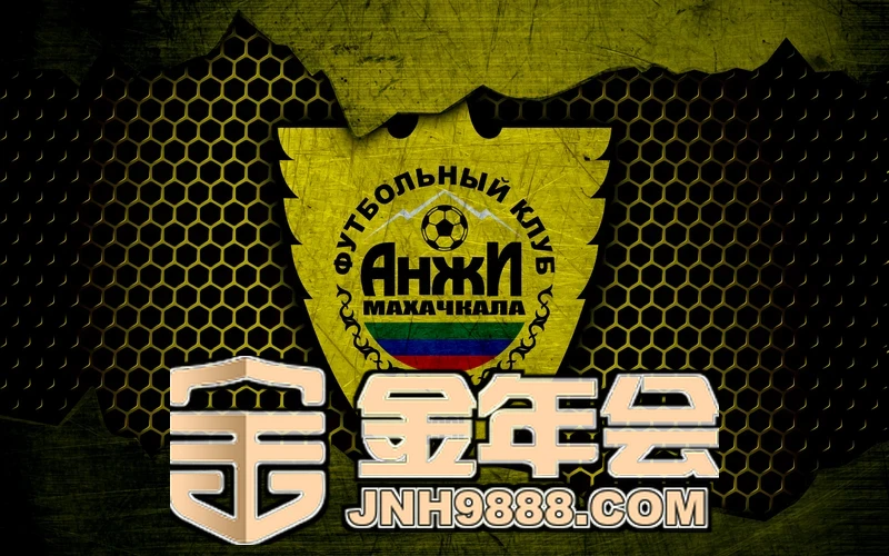 金年汇官网登录入口界面截图