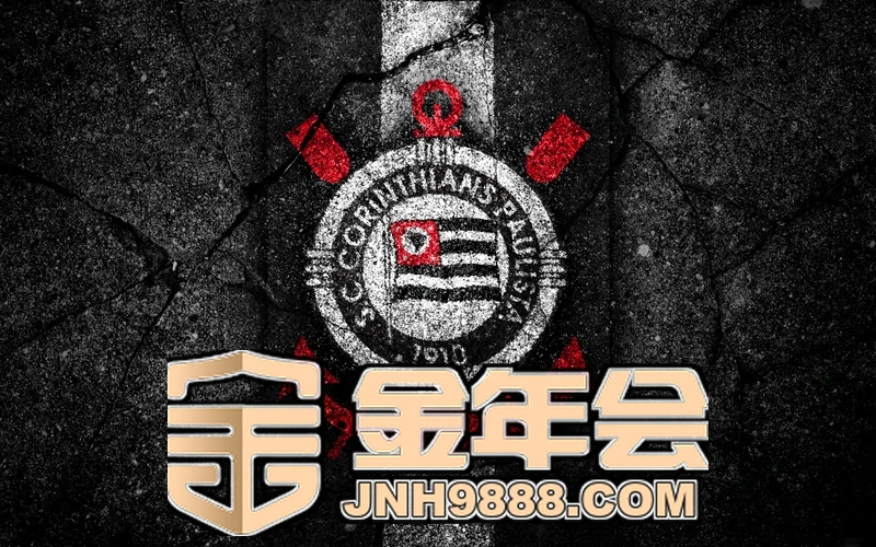 今年会·jinnianhui(中国)认证官网今年会相关图片：白色DDR5内存与固态硬盘