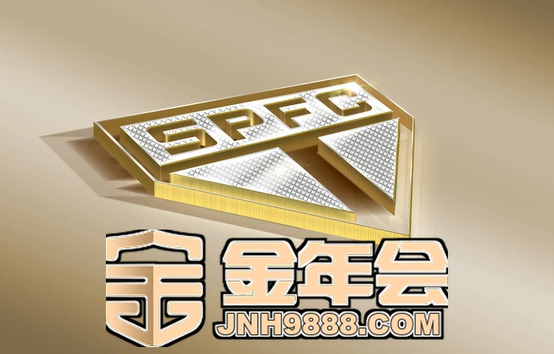 全面解析NG体育在线登录入口的登录流程与功能