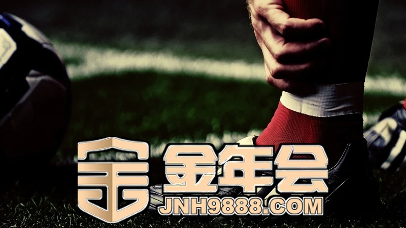 金年金字招牌(jinnian)jinnianhui相关图片
