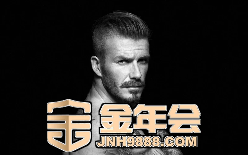 金年会下载核心数据与产业协同趋势示意图