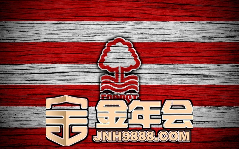 金年汇app官方入口相关图片