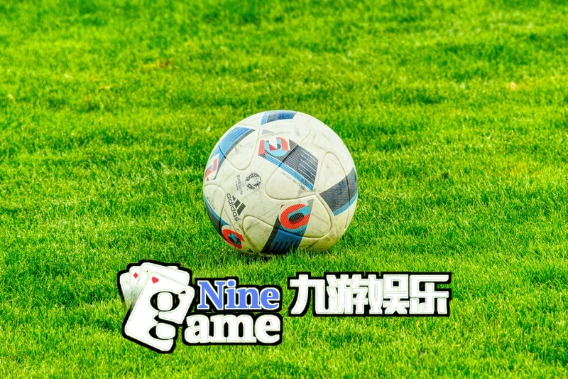 九游亚洲体育官网入口账户安全与记录中心界面图