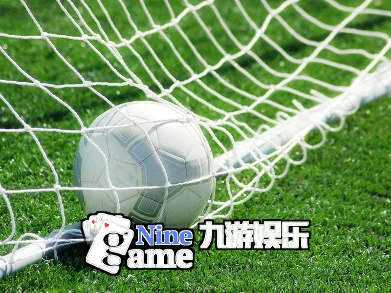 九游・体育(中国)官方网站-ninegamesports相关图片