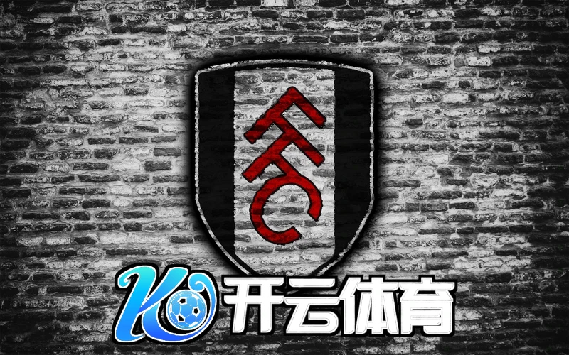 开云app苹果下载相关图片