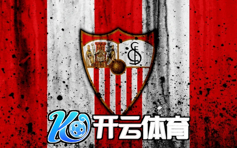 kaiyun云开APP下载功能展示