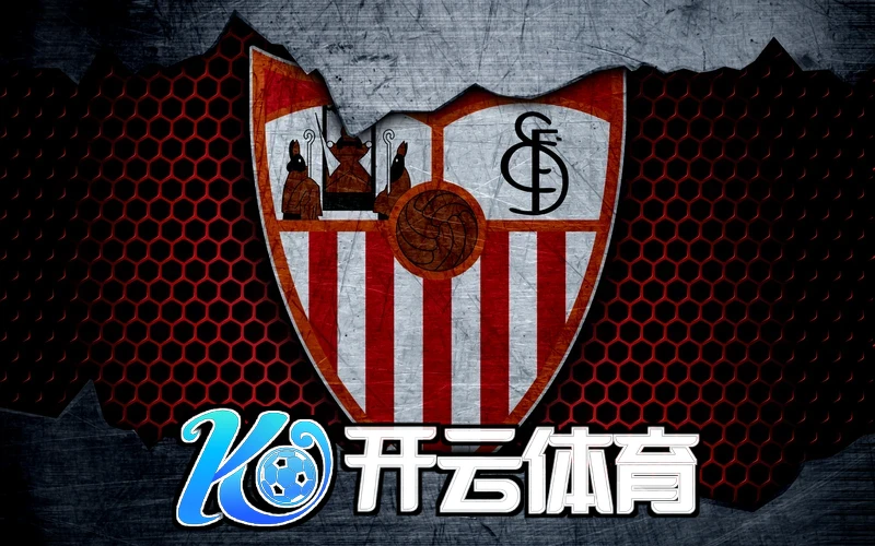 开云手机官方网站入口相关图片：多场景使用与版本选购参考