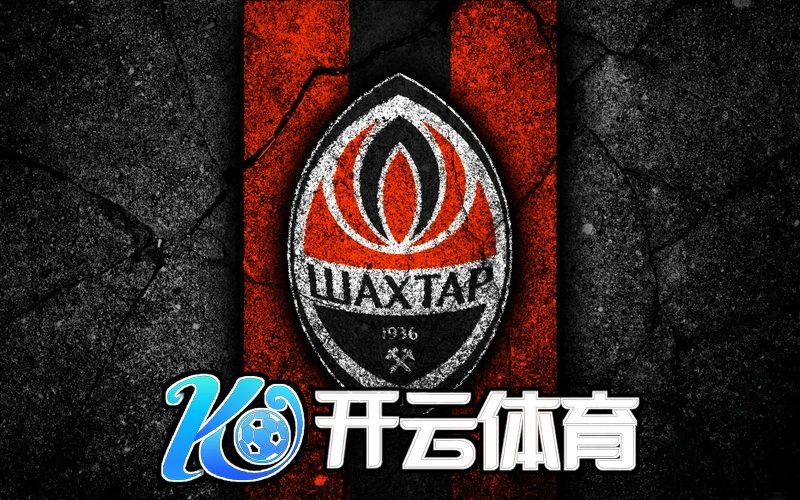 总结与未来