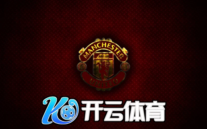 kaiyun全站官网登录入口app 游戏截图