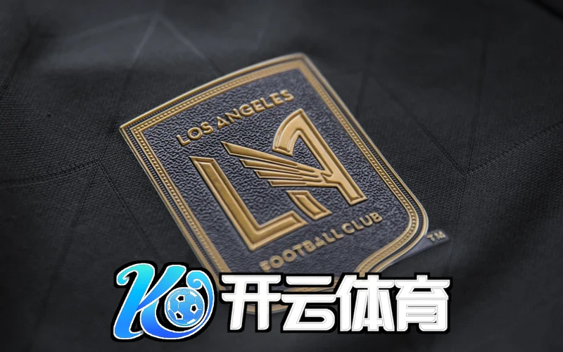 云开官方网站登录入口便利性示意图
