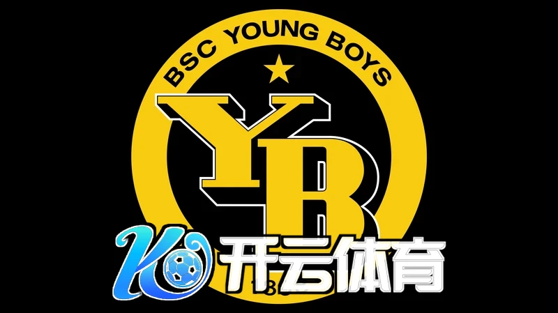 Kaiyun登录快捷入口使用场景