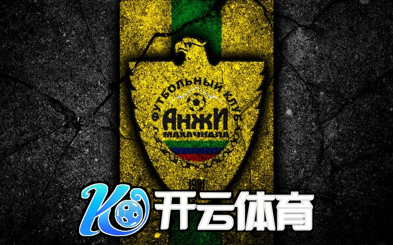 kaiyun全站体育合作生态图