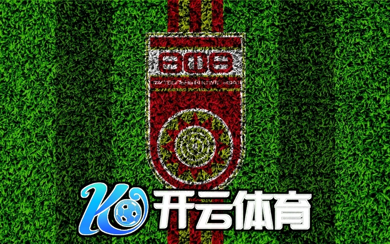 kaiyun体育官方下载赛事数据面板示意