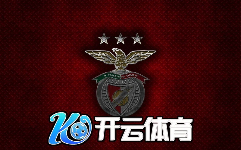 未来计划