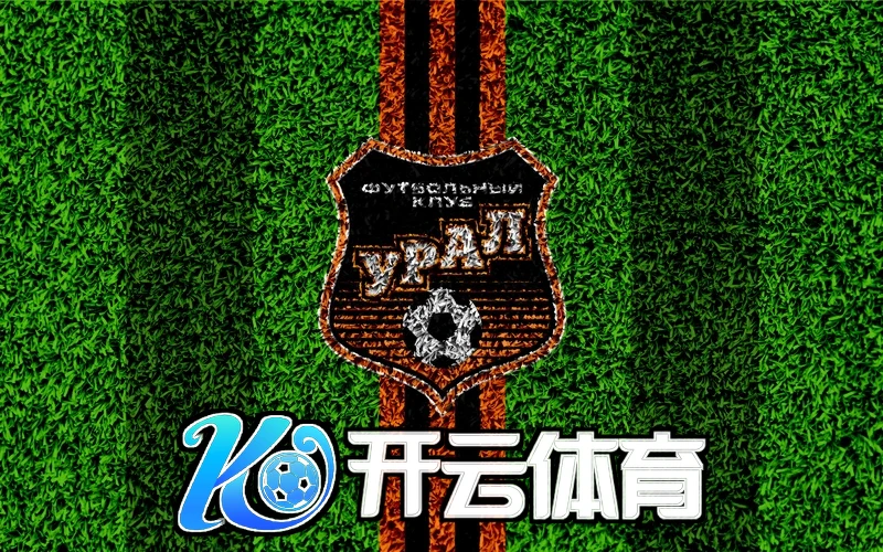 kaiyun官方网站安全与隐私保护界面