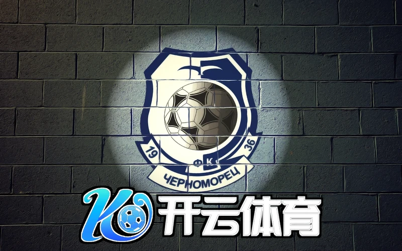 云开·全站app登录入口(官方)相关图片