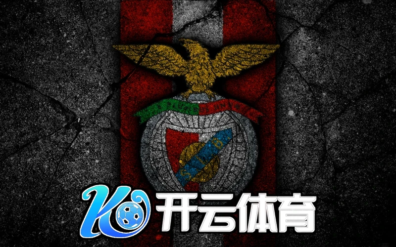 开云体育平台app下载官方玩法演示