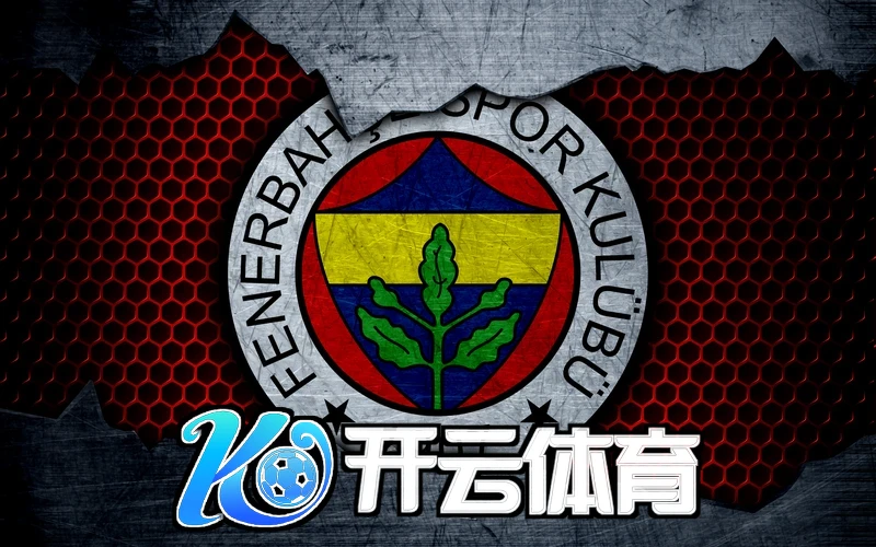 leyu开云网页登录网址账号安全与验证流程相关图片