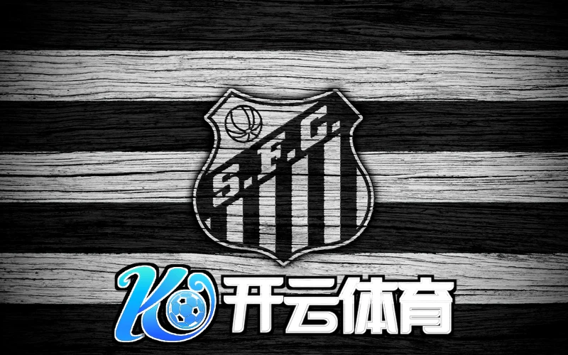 开云体育网络版相关图片