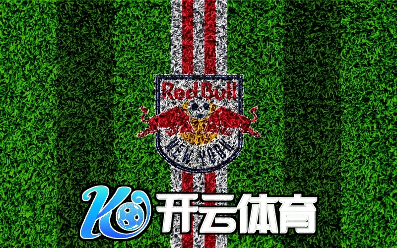 开云官方登录网址相关图片