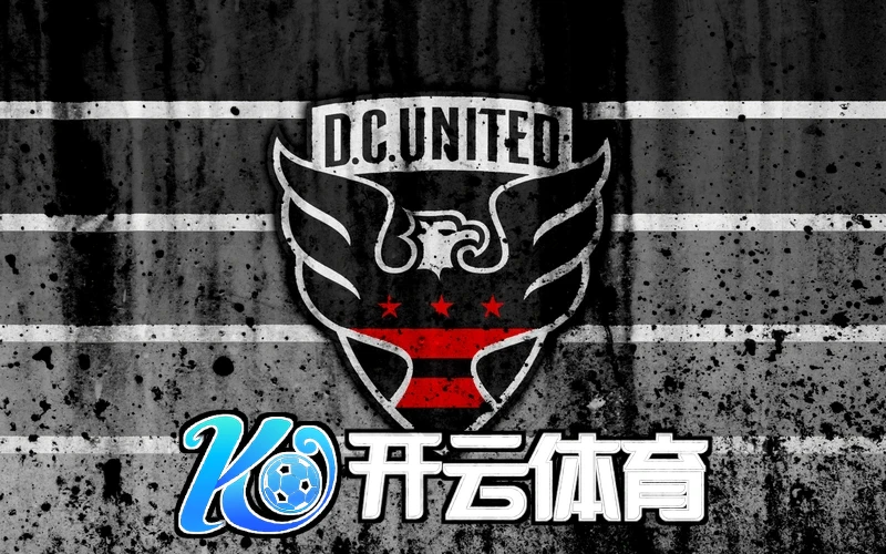 开云体育官网下载平台界面
