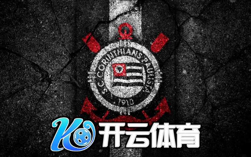 开云网页版入口手机版相关图片