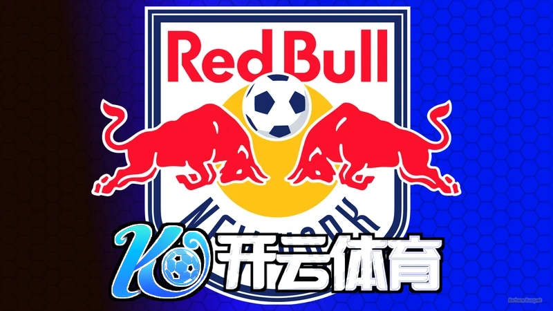 Kaiyun官网玩家反馈图片
