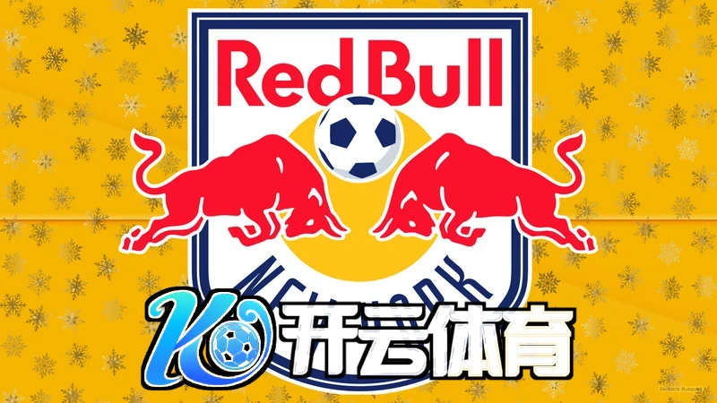 云开·全站APP下载安装功能展示