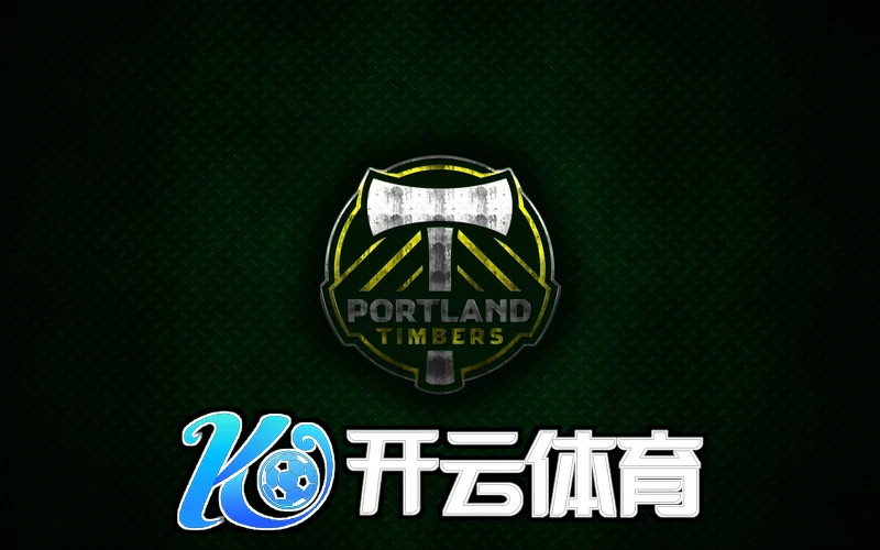 云开体育官方app版本示例
