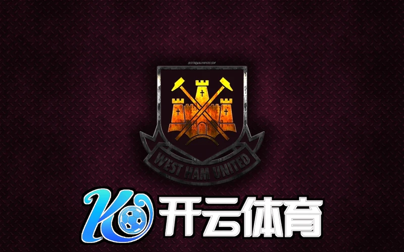 开云官方网站登录入口未来展望