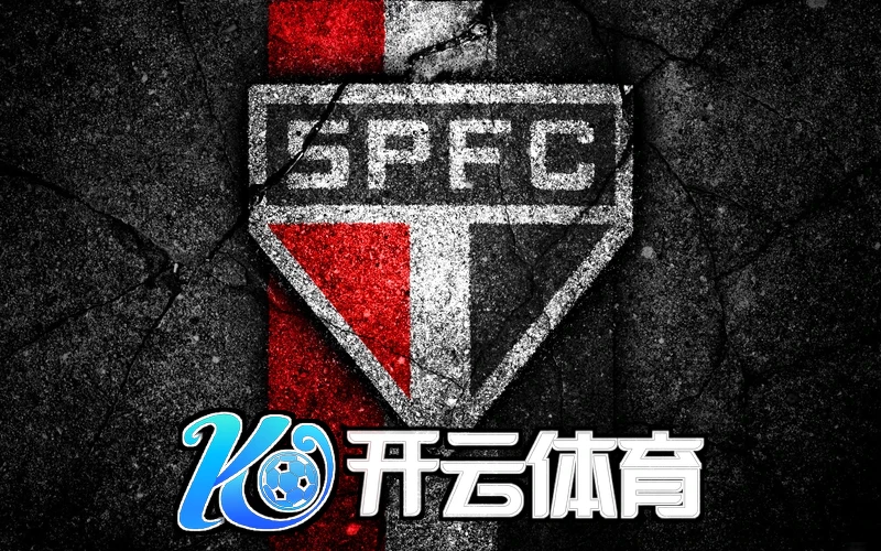 Kaiyun全站体育APP下载功能展示
