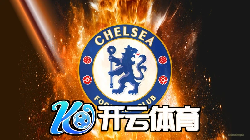 开云手机官方登录主题演讲现场专家分享