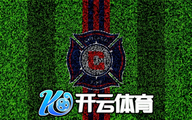 平台未来展望