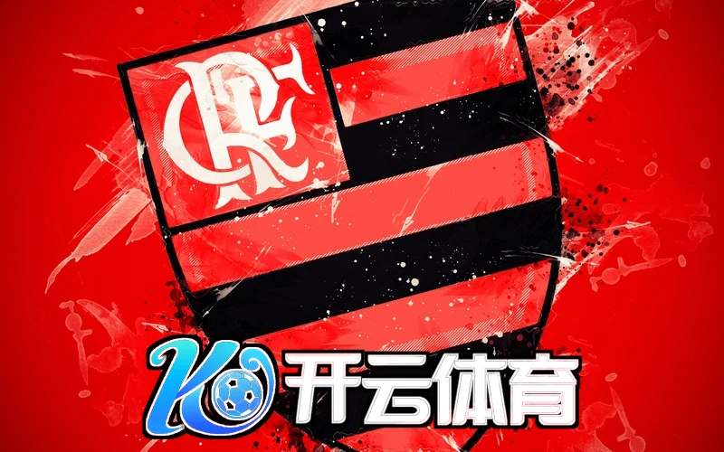 Kaiyun总结