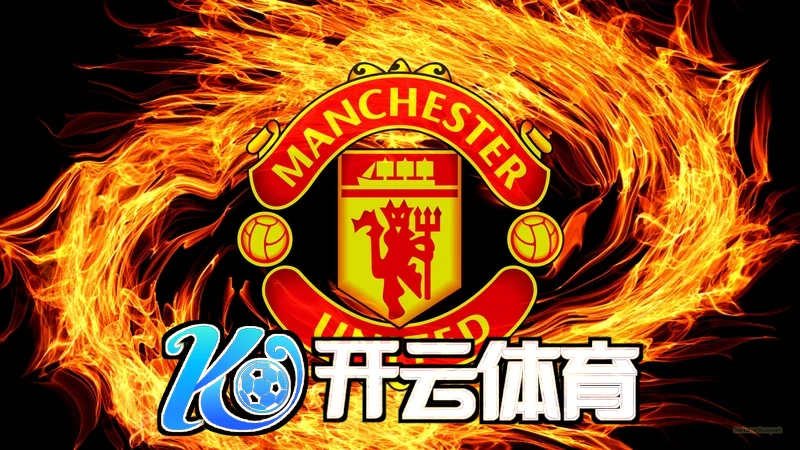 开云体育app官网全新版本界面