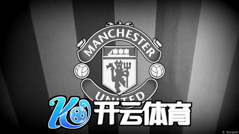 用户反馈