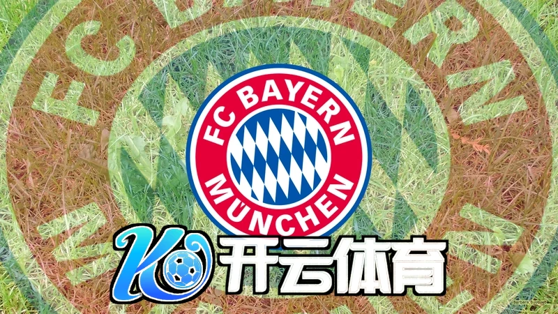 开元ky888棋乐2024官方版相关图片