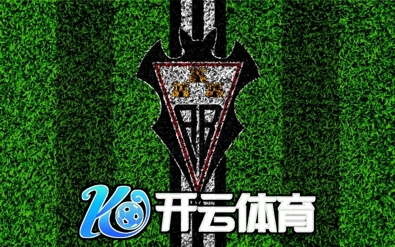 kaiyun体育全站App相关图片