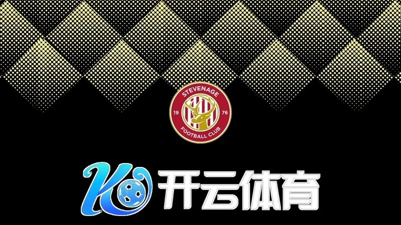 开云体育官方网址相关图片